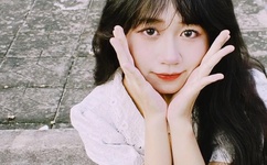 ZOOM动物合集VERDEOS